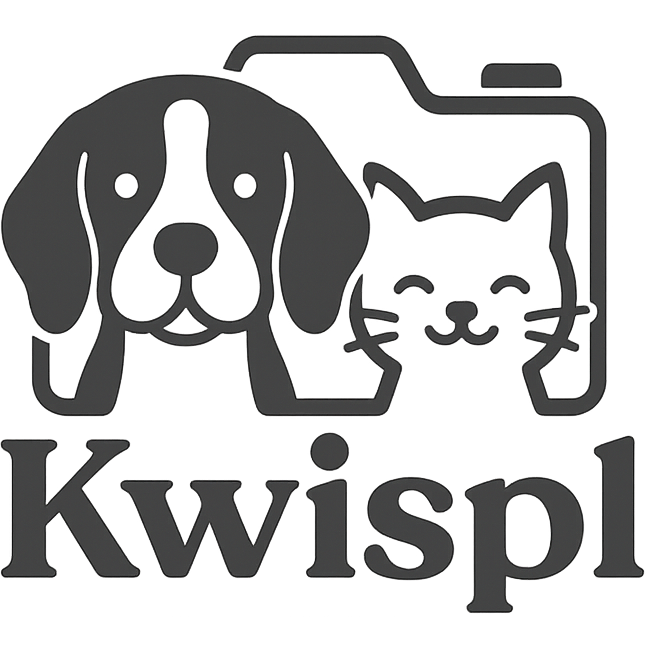 Kwispl Logo
